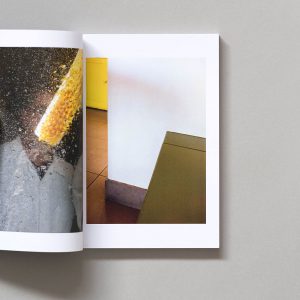 EVERYDAY DELIGHT: A Shutter Hub Editions Publication