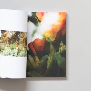 EVERYDAY DELIGHT: A Shutter Hub Editions Publication