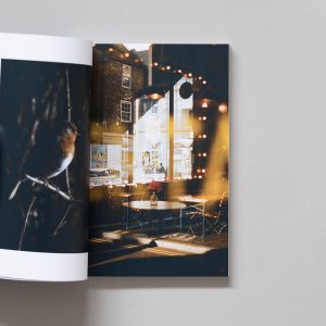 EVERYDAY DELIGHT: A Shutter Hub Editions Publication