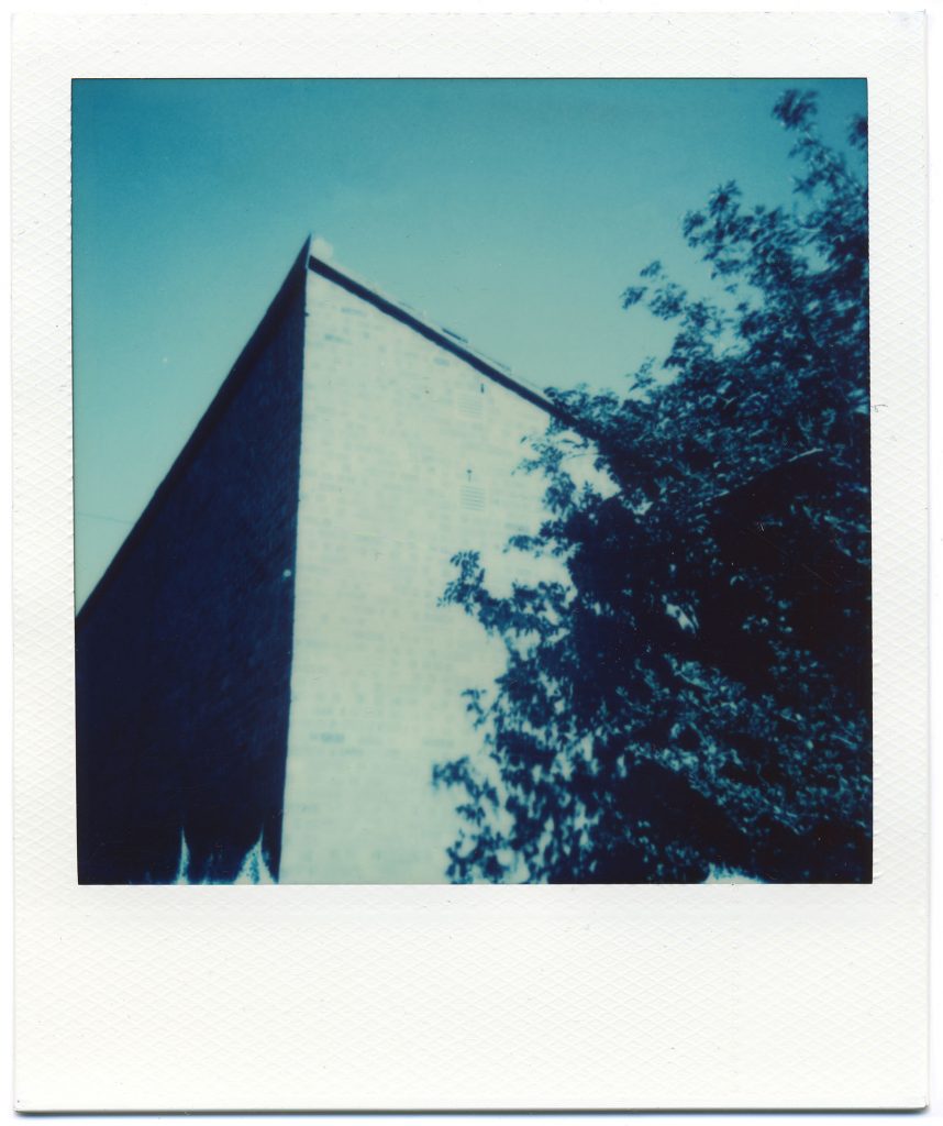 Polaroid Blue 600 wall and tree. Sample Image