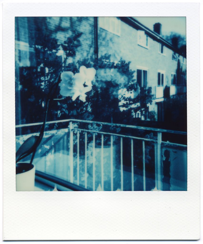 Flower, window and balcony shot on Polaroid Blue 600