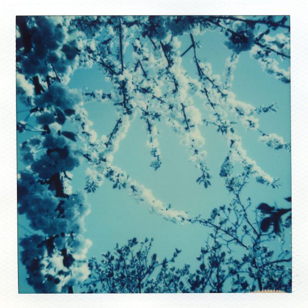 Polaroid 600 Blue Instant Film Reclaimed Edition Sample Image