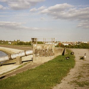 Kodak Gold 200 Wetlands Sample Image.