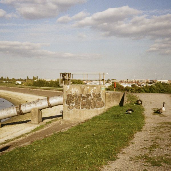 Kodak Gold 200 Wetlands Sample Image Kodak Gold 200 Wetlands Sample Image.