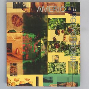 ROE ETHRIDGE American Polychronic