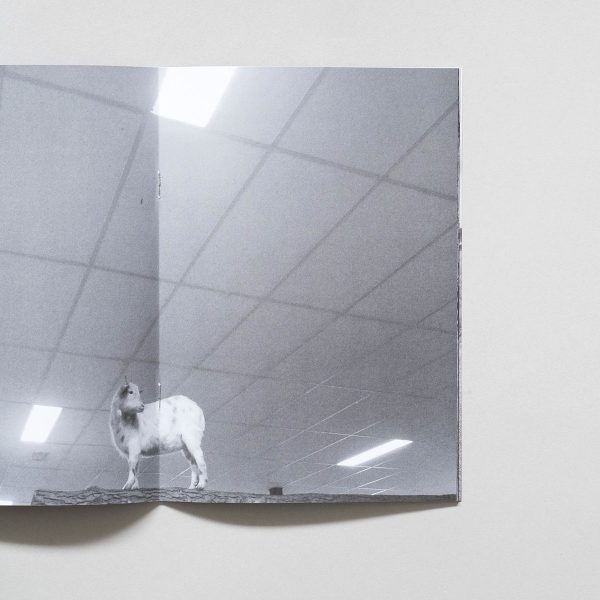 BOUWE BROUWER Street Life 3 BOUWE BOUWER Street Life