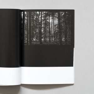 MARIE SMITH The Fog Has Lifted book on grey background