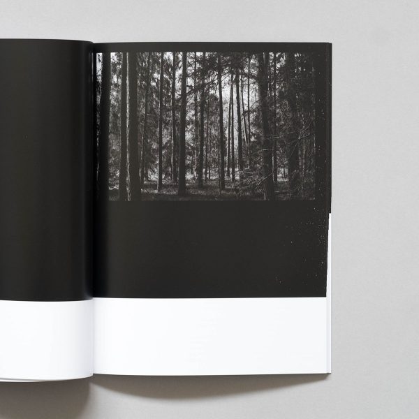 MARIE SMITH The Fog Has Lifted book on grey background