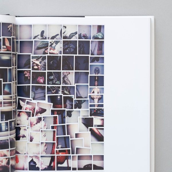 The Polaroid Project 3 The Polaroid Project At the Intersection of Art and Technology