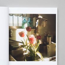 MIKIKO HARA Small Myths 1 MIKIKO HARA Small Myths