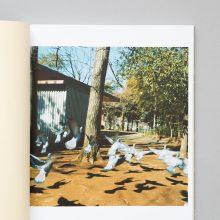 MIKIKO HARA Small Myths 3 MIKIKO HARA Small Myths