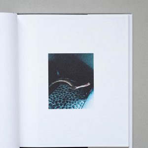 NAOHIRO HARADA Tokyo Fishgraphs