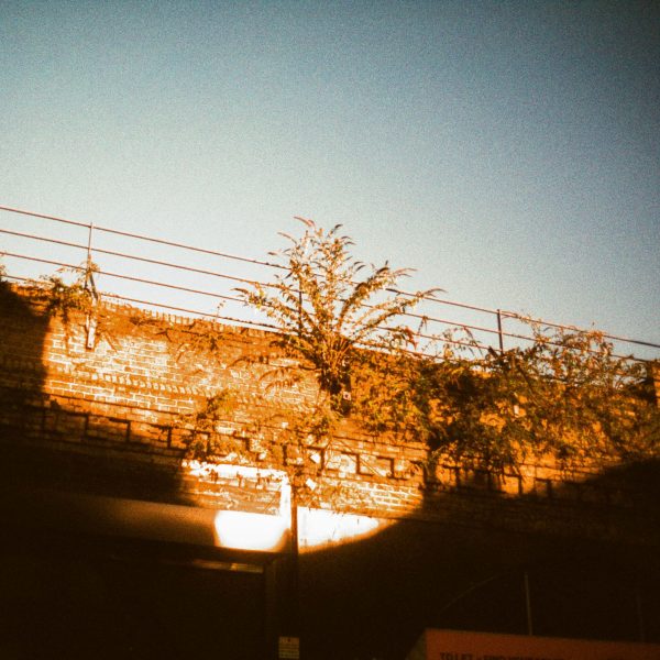 Harman Phoenix 200 Film Sample Brixton Atlantic Road Harman Phoenix 200 Film Sample Brixton Department Store 10