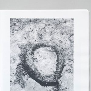 SANDY CONNELL Summer Of Chaos