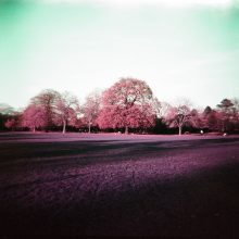 Lomo Purple 120 Diana F+ Camera Dulwich Park 11