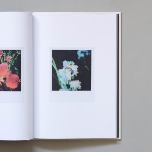 RACHEL MEGAWHAT Polaroids
