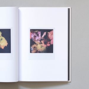 RACHEL MEGAWHAT Polaroids