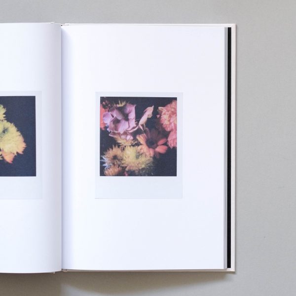 RACHEL MEGAWHAT Polaroids 2 RACHEL MEGAWHAT Polaroids