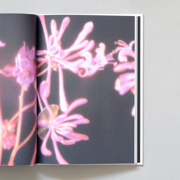 RACHEL MEGAWHAT Polaroids 3 RACHEL MEGAWHAT Polaroids