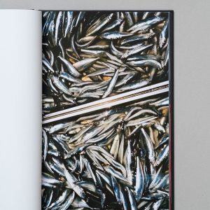 MARGUERITE BORNHAUSER 8