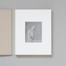 MAX FERGUSON Deadfall