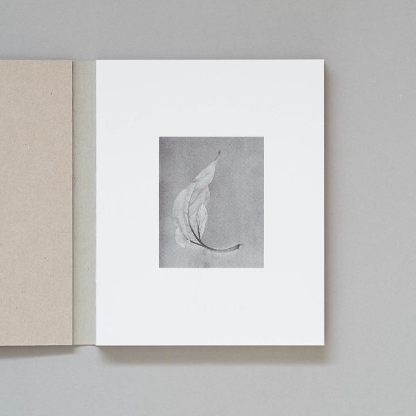 MAX FERGUSON Deadfall