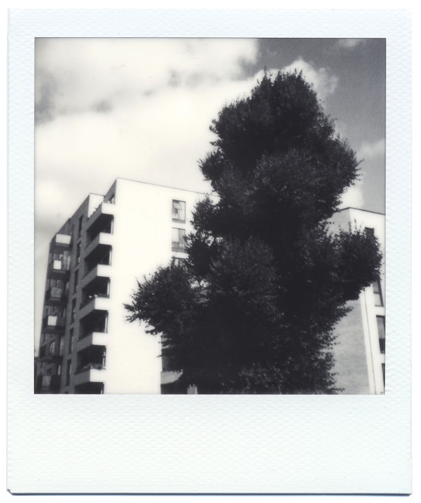 Polaroid SX-70 B&W Brixton Flats and Tree