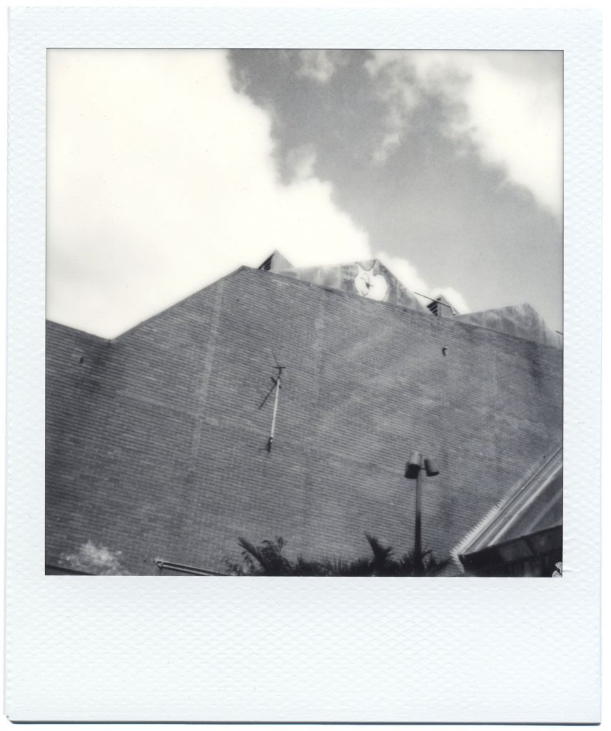 Polaroid SX-70 B&W Brixton Recreation Center