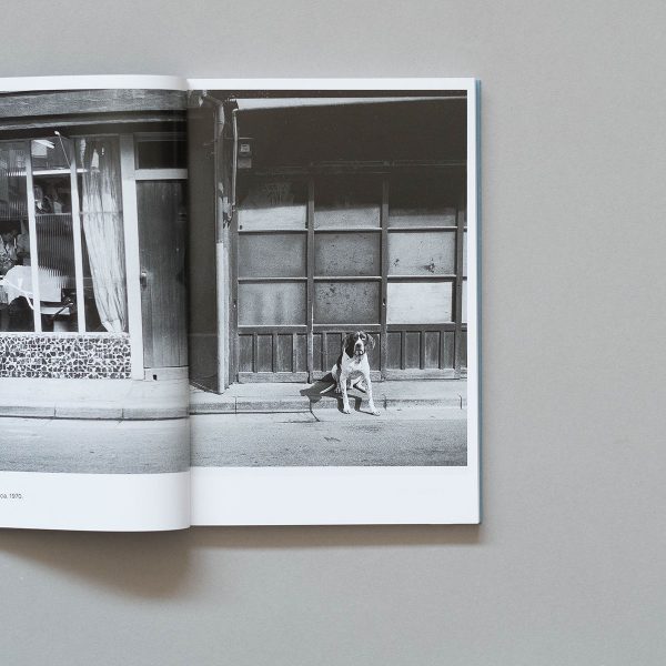 ISSEI SUDA Photofile 1 ISSEI SUDA Photofile