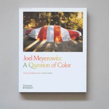 JOEL MEYEROWITZ A Question Of Color JOEL MEYEROWITZ A Question Of Color