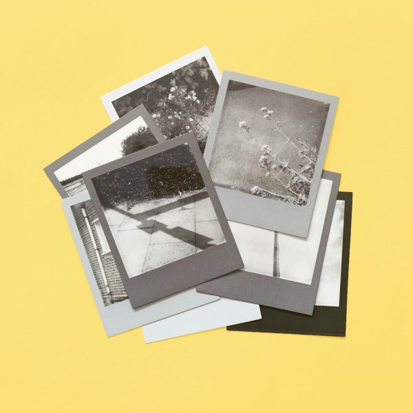 Polaroid 600 B&W Monochrome Frames Yellow 6 Polaroid 600 Monochrome Frames Black and White Film