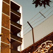 Harman Phoenix 200 120 Film Review Harman Phoenix 200 120 Film Review