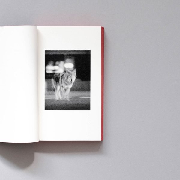 RYAN SPENCER There Is No Light At The End Of The Tunnel 3 RYAN SPENCER There Is No Light At The End Of The Tunnel Because The Tunnel Is Made Of Light