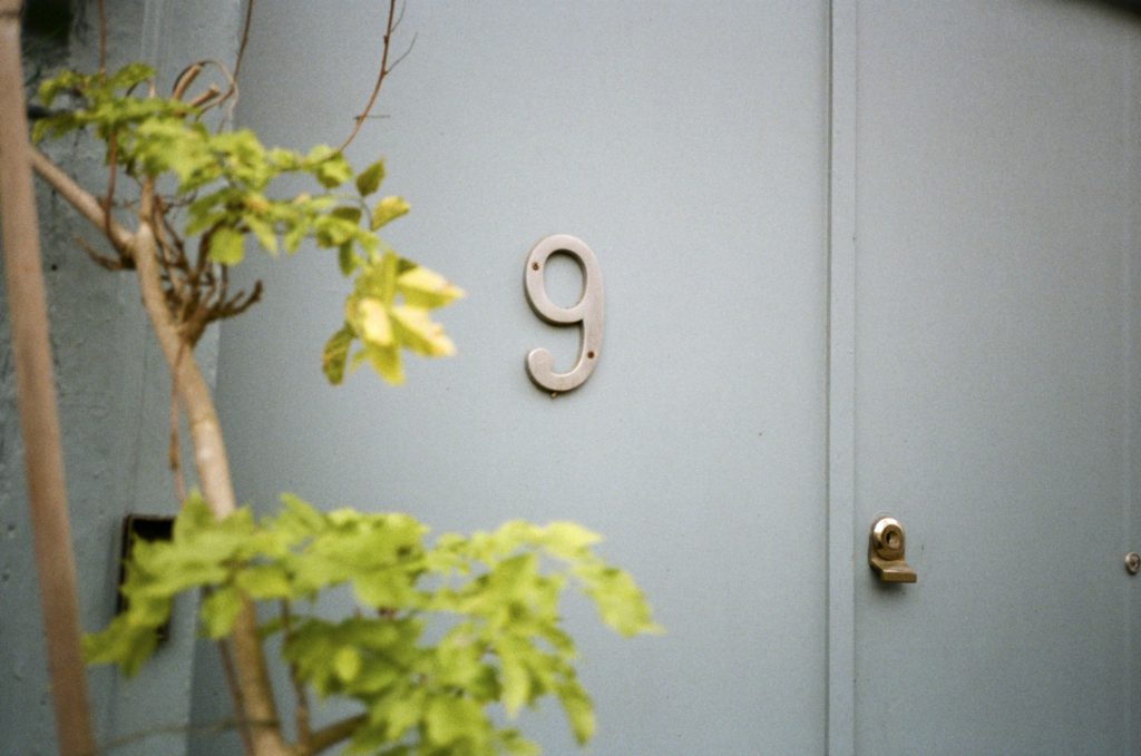 Number 9 on a blue door with out of focus green leaves on Kodak colour film