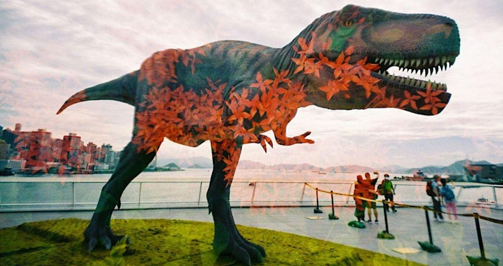 Lomowalk with the LomoApparat