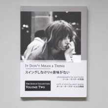 SAUL LEITER and PAUL AUSTER It Don't Mean A Think SAUL LEITER and PAUL AUSTER It Don't Mean A Thing