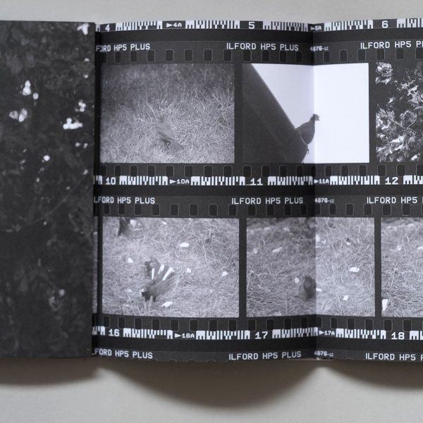 Hapax Magazine Issue 6 4 Hapax Magazine Issue 6