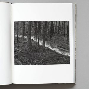 DYLAN HAUSTHOR What The Rain Might Bring