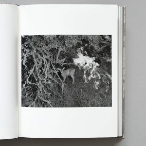 DYLAN HAUSTHOR What The Rain Might Bring