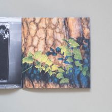 GILL G SINCLAIR Inhale Exhale 3 GILL G SINCLAIR Inhale Exhale