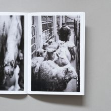 JOHN WALMSLEY Abattoir Raw