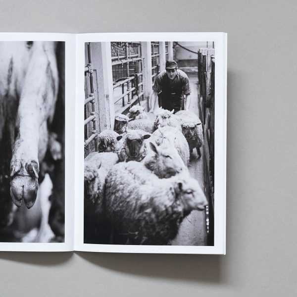 JOHN WALMSLEY Abattoir Raw