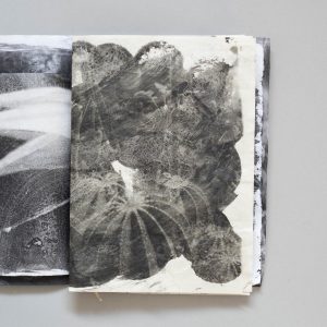 NAROA PÉREZ Trail of Touch Book