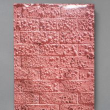 PIETER HUGO Californian Wildflowers PIETER HUGO Californian Wildflowers