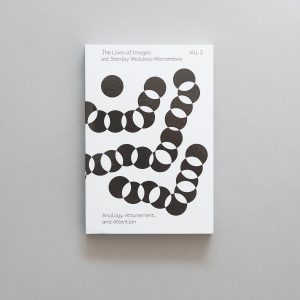 The Lives of Images, Vol. 2: Analogy, Attunement, and Attention