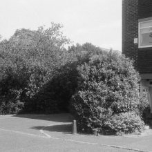 Kentmere Pan 200 Film Review. Image of Mid-Century Housing Estate
