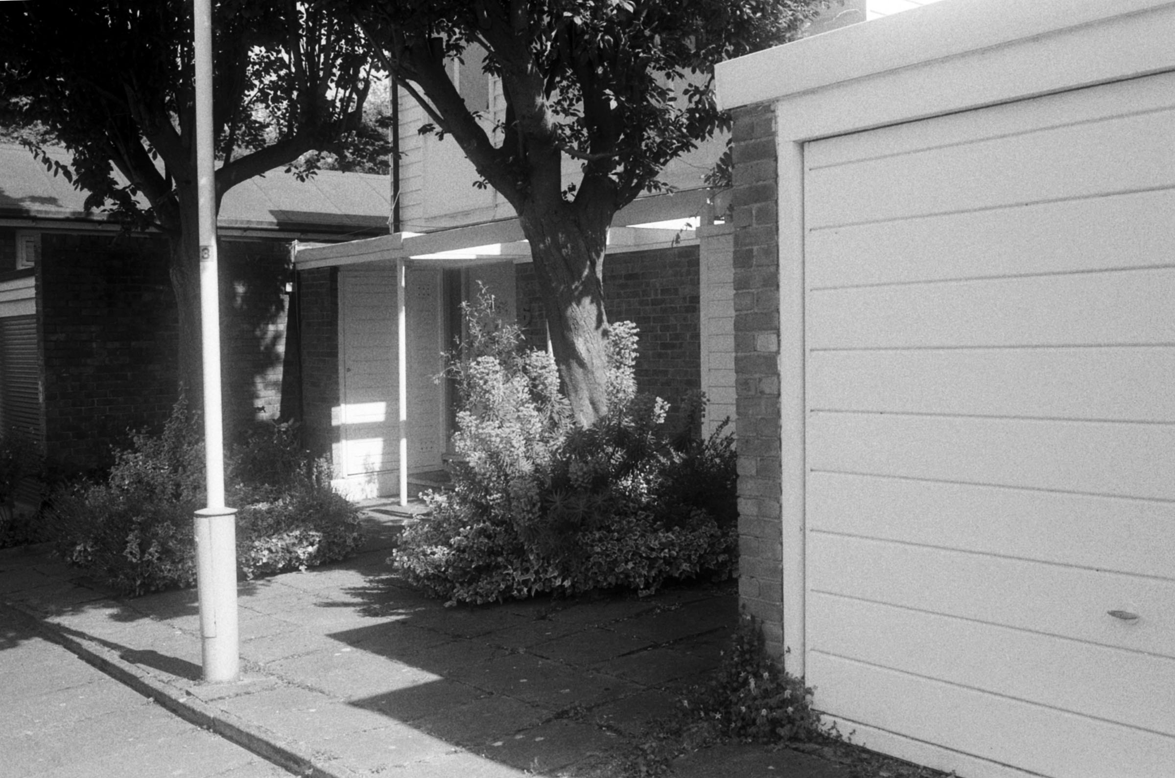 Black and white photograph of a mid-century modern residential street scene, showing a white garage door on the right, a central tree surrounded by shrubs, and a lamp post on the left, with strong shadows cast across the paved walkway. Taken on Kentmere Pan 200