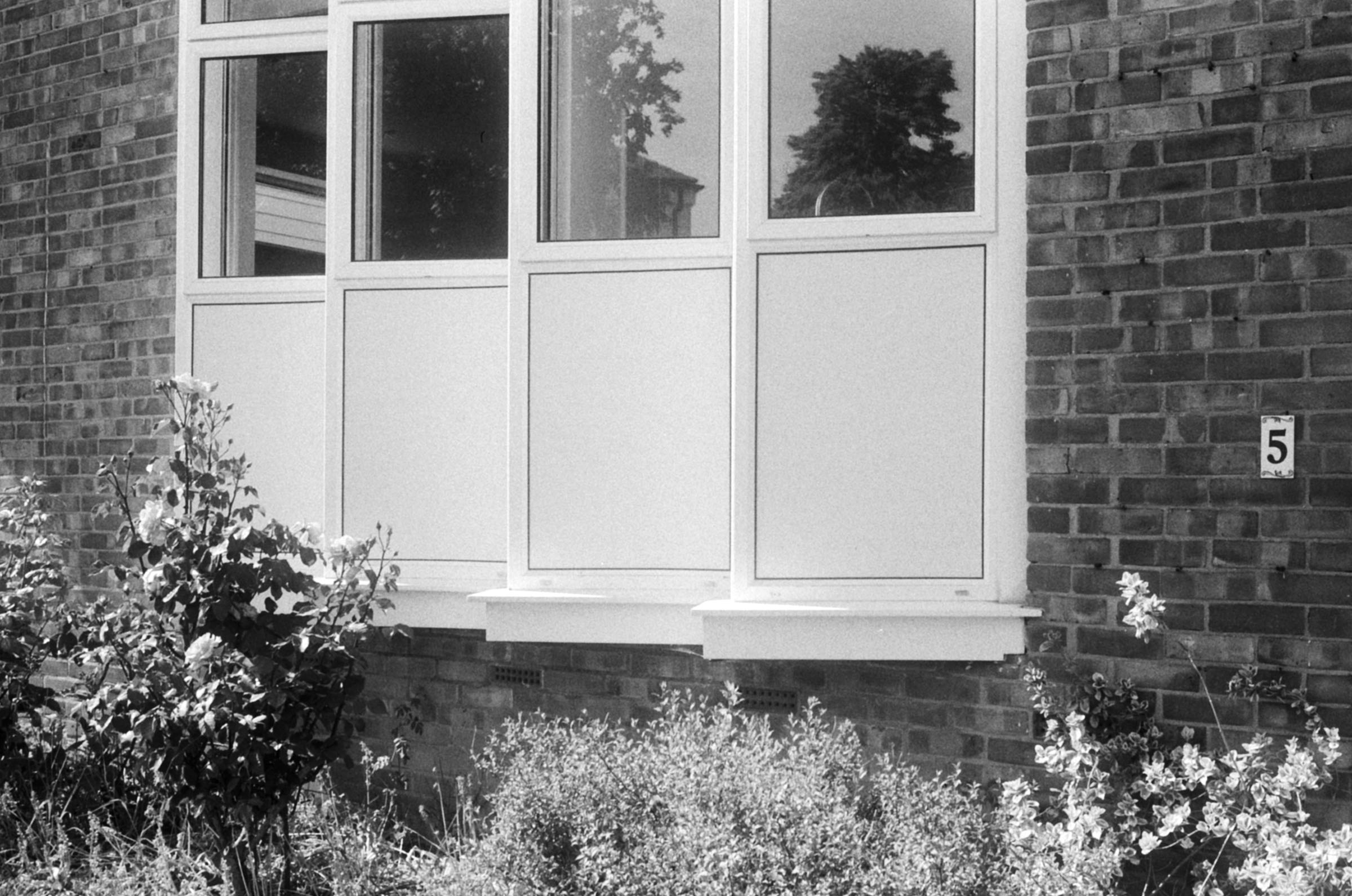 Black and white photograph of a mid-century modern brick house facade with a large rectangular window divided into panels, reflecting trees and a building across the street. A rose bush and other garden plants grow in the foreground near a wall-mounted house number '5'. Taken on 35mm Film