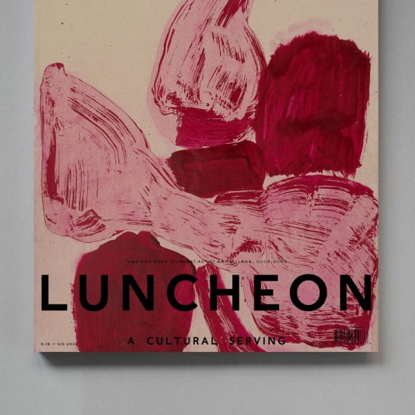 Luncheon No19 Amy Sillman 1