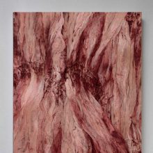 Luncheon N.19 Sarah Moon Cover